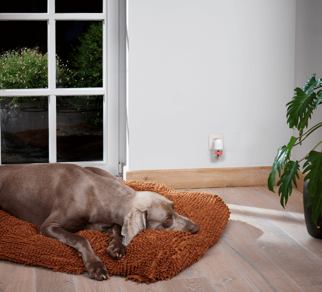 Use a Beaphar CaniComfort Calming Diffuser in your pet's firework den to help them feel calmer