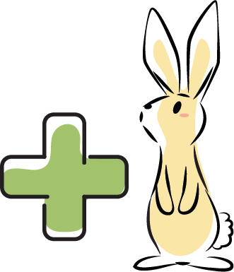 Rabbit health