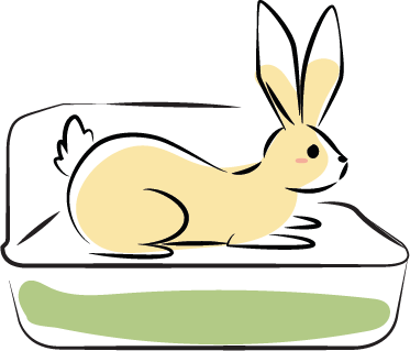 Rabbit in litter tray