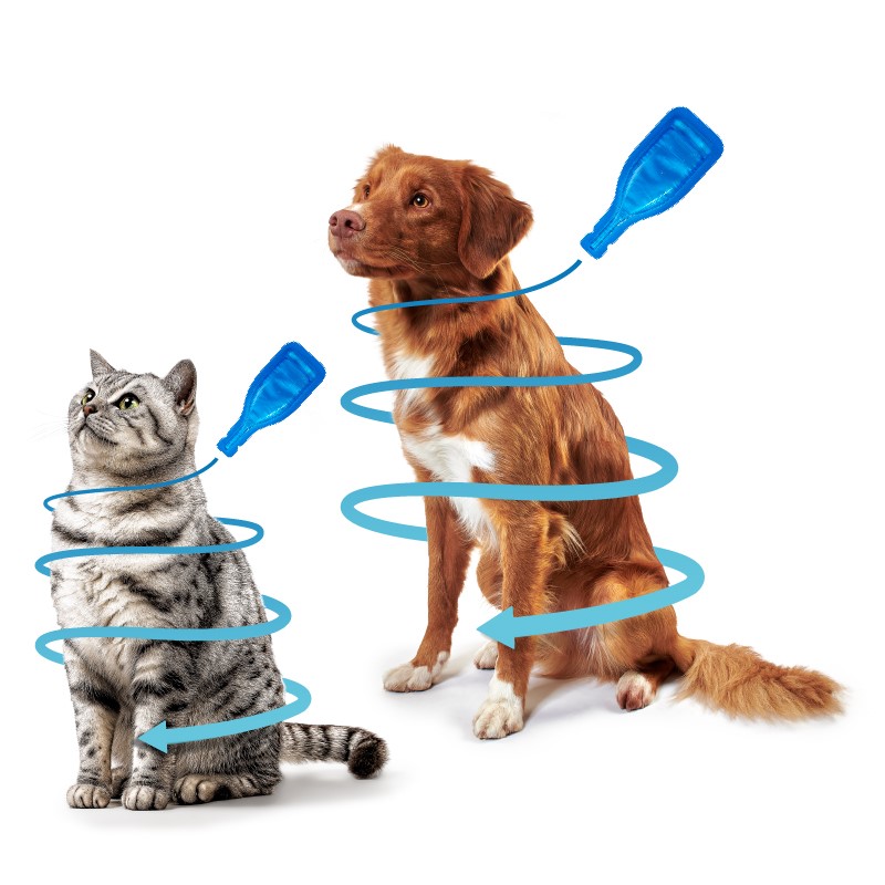 Werking Fiprotec vlooien- en tekendruppels bij hond en kat